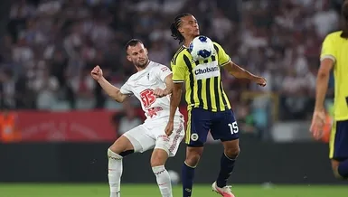 İdeal savunma