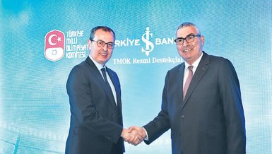 Dev işbirliği