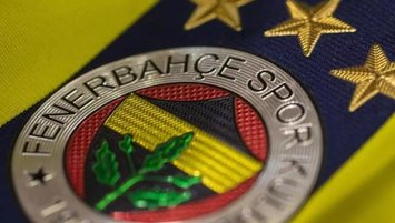 Vincent Janssen: Fenerbahçe'ye katkı sağlayamadım! 