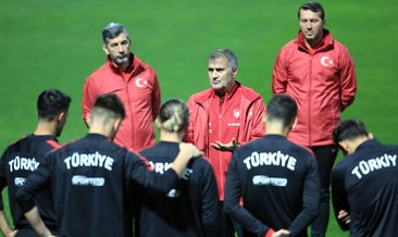 Şenol Güneş'ten uyarı: Beraberliğini unutun