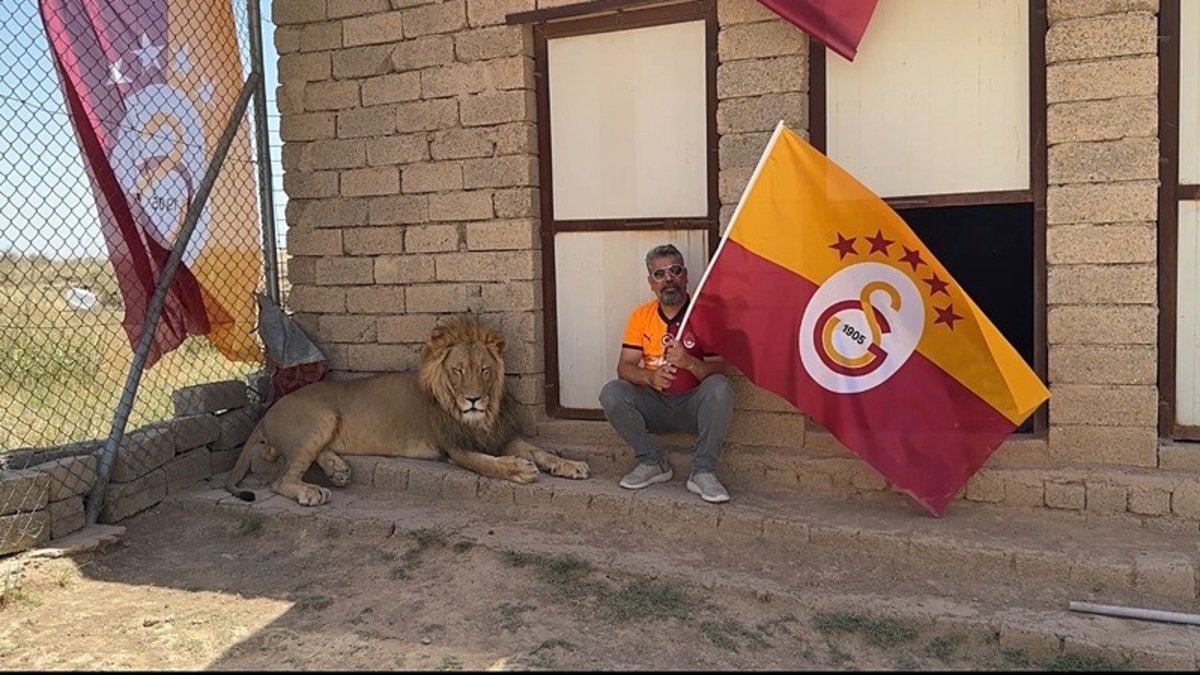 Galatasaraylı taraftar şampiyonluğu aslanlarıyla kutladı Galatasaraylı taraftar şampiyonluğu aslanlarıyla kutladı