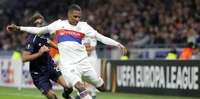 Lyon damgası