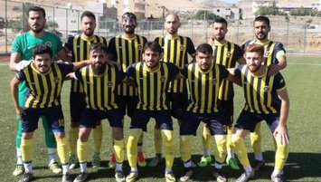 Mardin BŞB dolu dizgin: 1-0