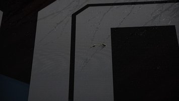 'Can güvenliği tehdit altında'