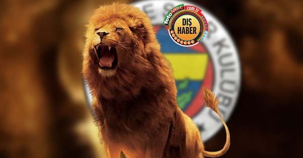 sezon sonu aslan oluyor