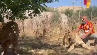 >Aslanlarıyla Galatasaray'ın şampiyonluğunu kutladı!