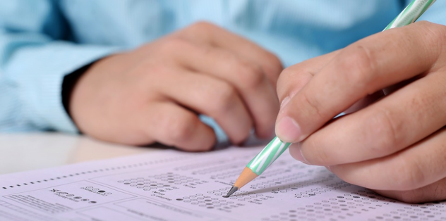 ales sinavi sonucu nasil sorgulanir