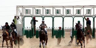 Altılı ganyan 120,69 lira ikramiye verdi