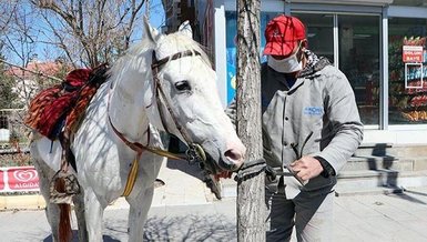 Corona virüsü nedeniyle ata biniyor!