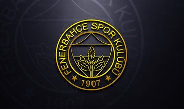 Allahyar Sayyadmanesh 850 bin euro karşılığında Fenerbahçe'de!