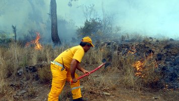 OGM yangın işçisi şartları neler? Başvuru tarihi ne zaman?