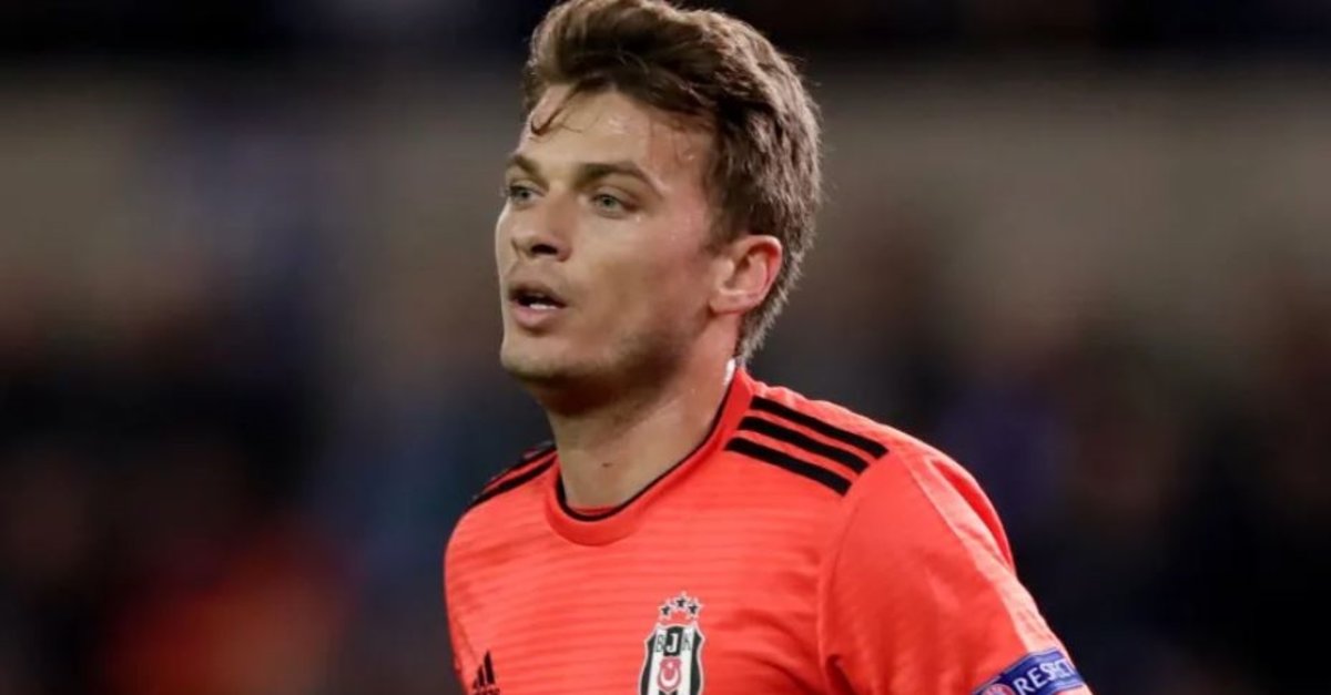 adem ljajic nereli