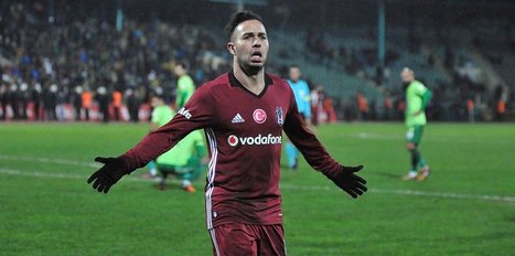 Zola, Frei’i izlememiş