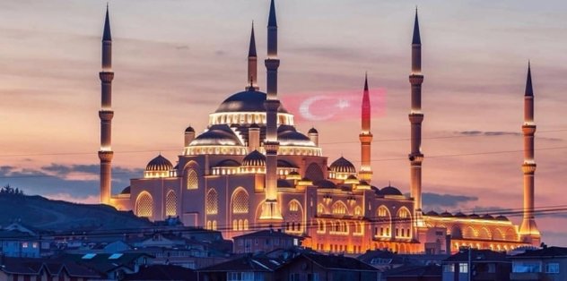 Genelevden Kovulmasina Neden Olan Kediler Icin Ev Kiraladi Youtube