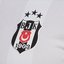 Beşiktaş'ta idari ve mali genel kurul yapılacak