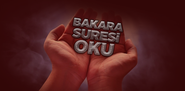 bakara suresi oku dinle bakara suresi anlami ve icerigi bakara suresi turkce meali arapca okunusu fotomac