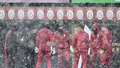 Aslan zoru sever