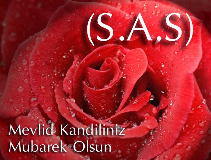 mevlid-kandili-mesajlari-duali-2022-mevlid-kandili-mesajlari-resimli-mevlid-kandili-mesajlari-facebook-whatsap-1664367961813.jpeg