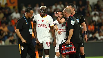 Aslan sakata geldi