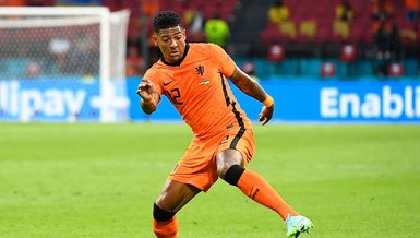 Van Aanholt tehlikesi