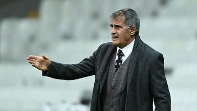 Şenol Güneş: Yine görmediler