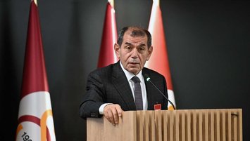 Tam destek