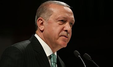 Başkan Erdoğan’dan Fenerbahçe Beko ve Anadolu Efes’e tebrik