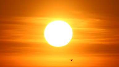 d vitamini hangi besinlerde bulunur d