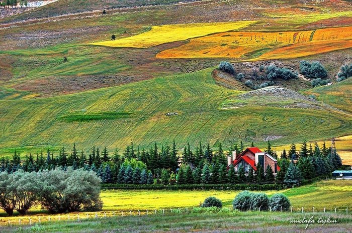 ankara-ilk-arsa-toki-kura-canli-izle-ankara-7-mart-toki-arsa-cekilisi-2023-ankara-mustakil-musterek-arsa-toki-1678171557535.jpeg