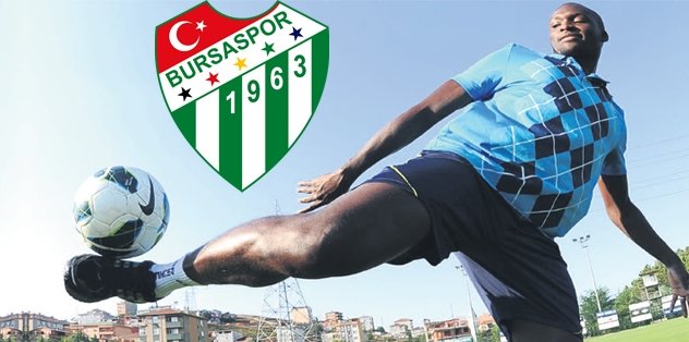 Son Timsah Sow