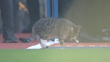 Ziraat Türkiye Kupası'nda davetsiz misafir