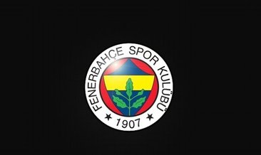Son dakika: Fenerbahçe'de ibra kararı!