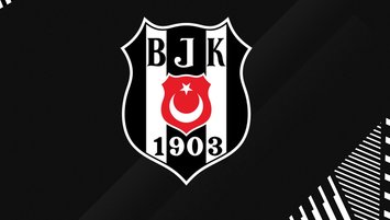 Kartal hücumda