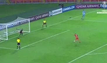 Panenka kovdurttu