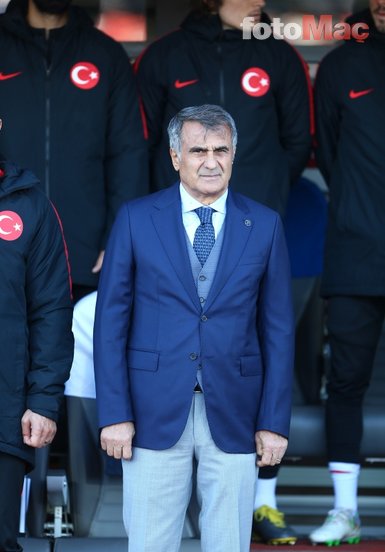 Şenol Güneş’ten Fenerbahçe yorumu!