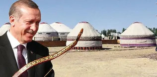 1071 coşkusu