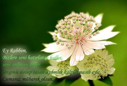 En Guzel Ve Anlamli Cuma Mesajlari 24 Mayis Cuma Namazi Saatleri Fotomac