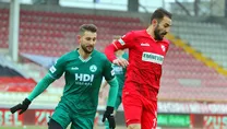 10 numara Çotanak