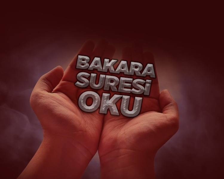 Bakara Suresi Oku Dinle Bakara Suresi Anlami Ve Icerigi Bakara Suresi Turkce Meali Arapca Okunusu Fotomac