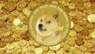 Dogecoin kaç TL oldu? Dogecoin kaç BTC? Dogecoin nasıl alınır? 23 Şubat 2021 Dogecoin fiyatı...