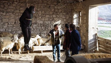GÖNÜL DAĞI 126. BÖLÜM İZLE | Gönül Dağı SON bölüm full izle - TRT 1 İZLE CANLI