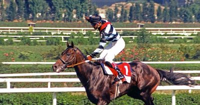 Jokeyler at binmeme kararı aldılar