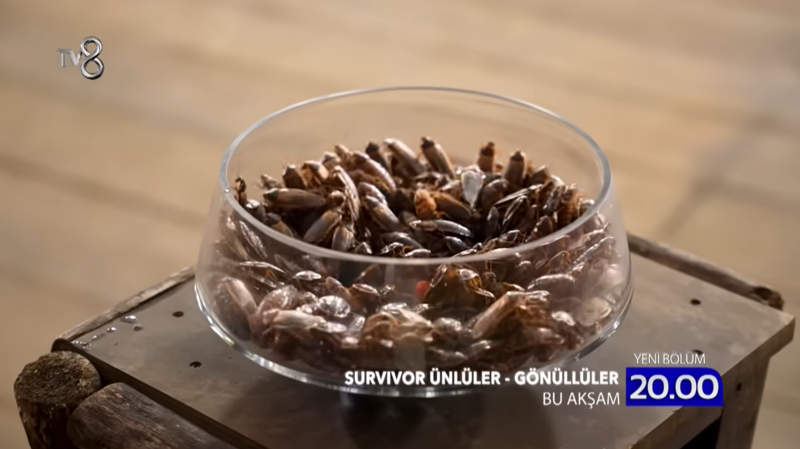 survivor-1-dokunulmazlik-oyunu-19-ocak-survivor-kim-kazandi-1769364356816.png Survivor hangi takım ceza yedi?