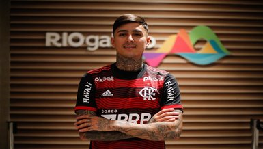 Erick Pulgar Flamengo'ya transfer oldu