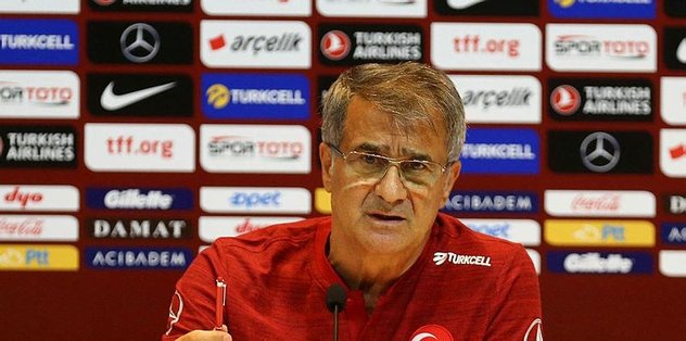 Şenol Güneş'ten Fatih Terim ve ceza yorumu!