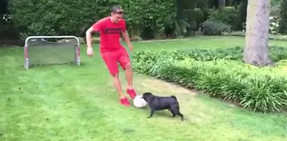 Görünüşe göre köpeğimin tekniği bayağı iyiymiş