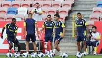 Fenerbahçe Gornik Zabrze maçına hazır