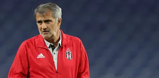Şenol Güneş: Beklentilerimiz var