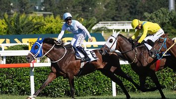 İşte 99. Gazi Koşusu'nun kazananı!