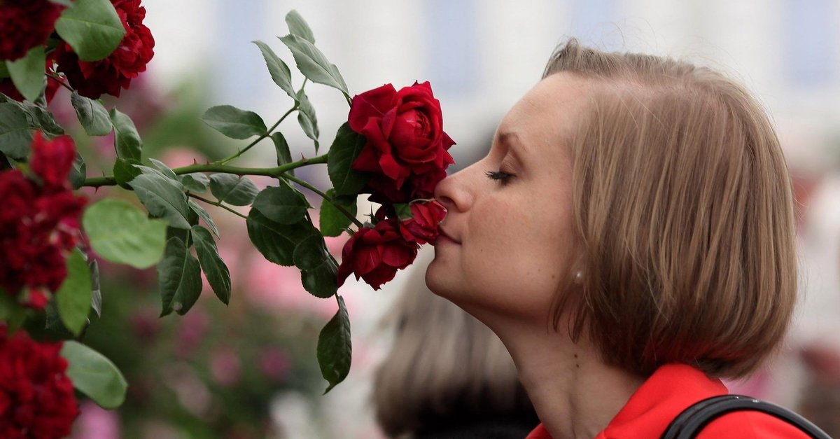 Corona Virusu Ile Ilgili Sok Gercek Hastalarda Koku Ve Tat Alma Kaybi Da Gorulebiliyor Fotomac